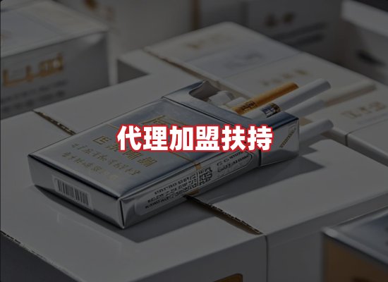 专业团队